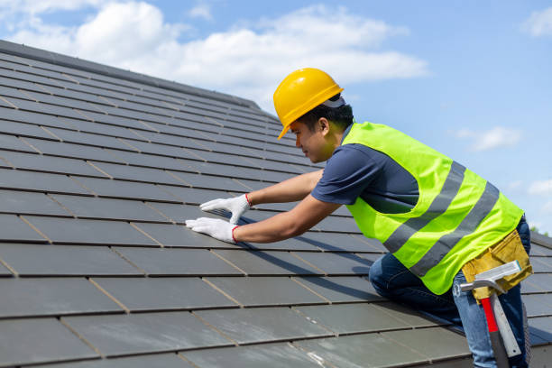Best Roof Moss and Algae Removal  in Newcomerstown, OH